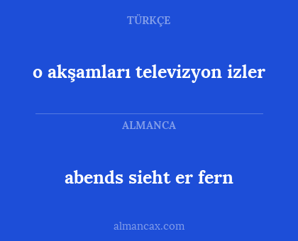 o akşamları televizyon izler - abends sieht er fern