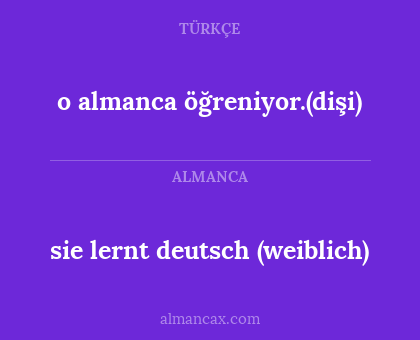 sie lernt deutsch (weiblich) - o almanca öğreniyor.(dişi)