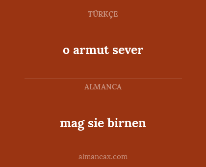 mag sie birnen - o armut sever