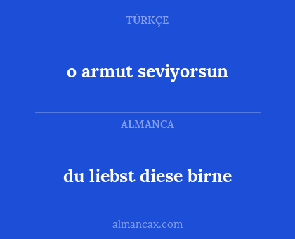 o armut seviyorsun - du liebst diese birne