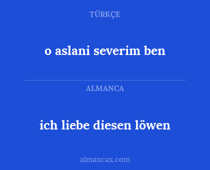 o aslani severim ben - ich liebe diesen löwen