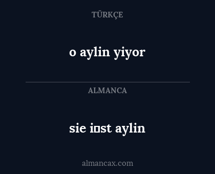 sie i̇st aylin - o aylin yiyor