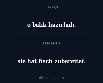o balık hazırladı. - sie hat fisch zubereitet.