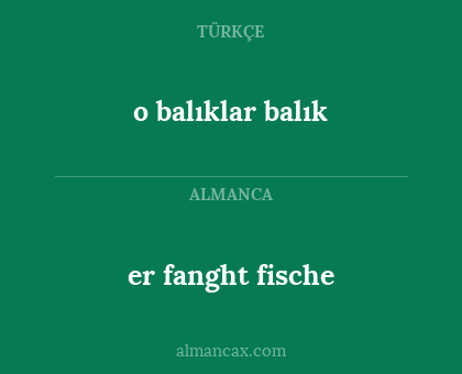 o balıklar balık - er fanght fische