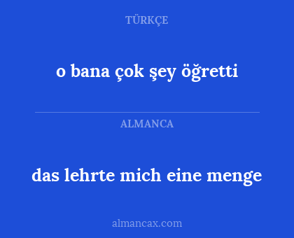 das lehrte mich eine menge - o bana çok şey öğretti