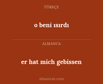 o beni ısırdı - er hat mich gebissen