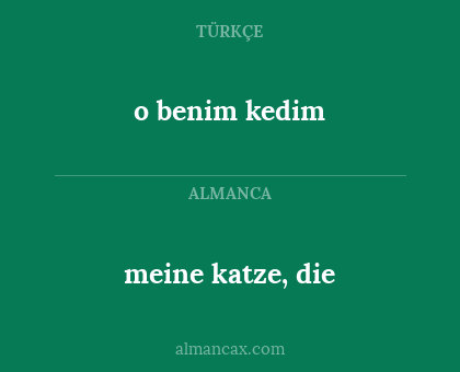 meine katze, die - o benim kedim