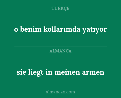 sie liegt in meinen armen - o benim kollarımda yatıyor