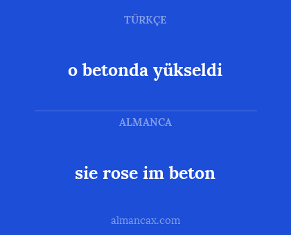 sie rose im beton - o betonda yükseldi
