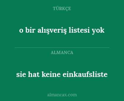 sie hat keine einkaufsliste - o bir alışveriş listesi yok