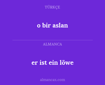 o bir aslan - er ist ein löwe