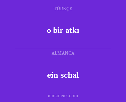 ein schal - o bir atkı