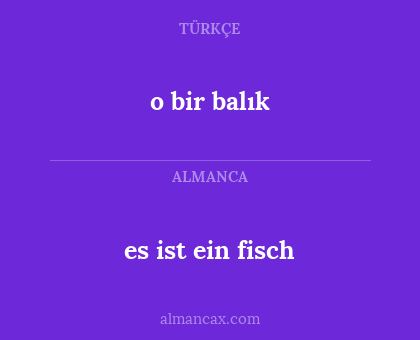 o bir balık - es ist ein fisch