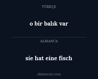 sie hat eine fisch - o bir balık var