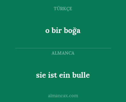 sie ist ein bulle - o bir boğa