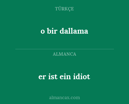 er ist ein idiot - o bir dallama