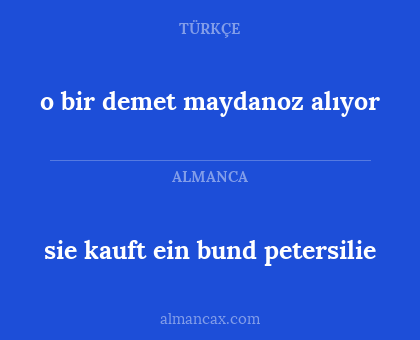sie kauft ein bund petersilie - o bir demet maydanoz alıyor