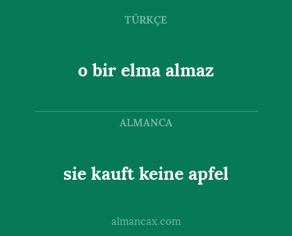 sie kauft keine apfel - o bir elma almaz