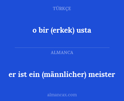 er ist ein (männlicher) meister - o bir (erkek) usta