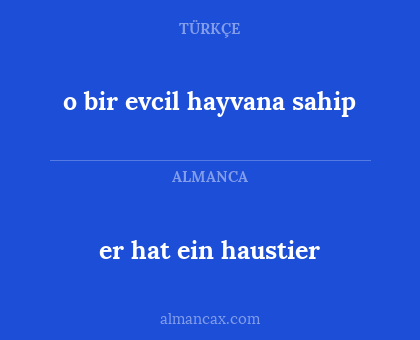 er hat ein haustier - o bir evcil hayvana sahip