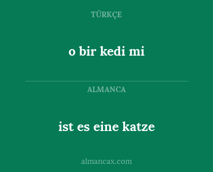 o bir kedi mi - ist es eine katze