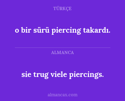 o bir sürü piercing takardı. - sie trug viele piercings.