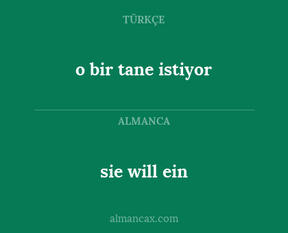 o bir tane istiyor - sie will ein