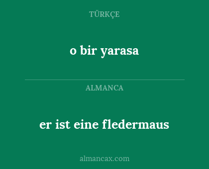 er ist eine fledermaus - o bir yarasa
