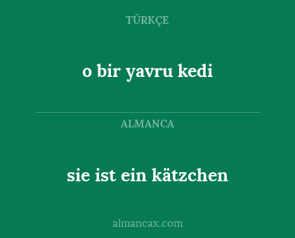 sie ist ein kätzchen - o bir yavru kedi