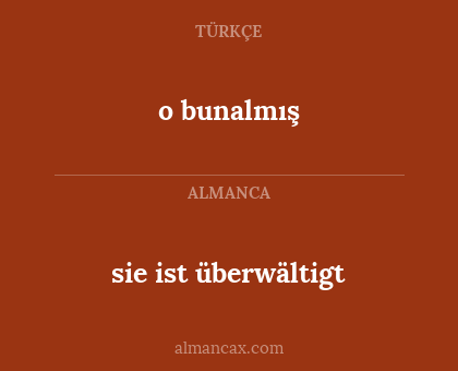 sie ist überwältigt - o bunalmış