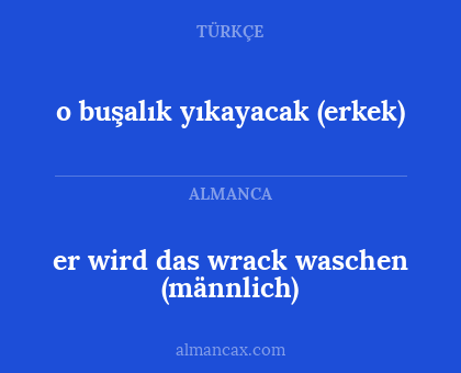 er wird das wrack waschen (männlich) - o buşalık yıkayacak (erkek)