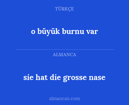 o büyük burnu var - sie hat die grosse nase