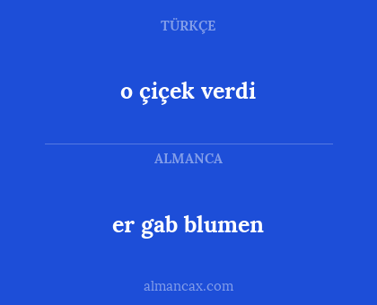 er gab blumen - o çiçek verdi