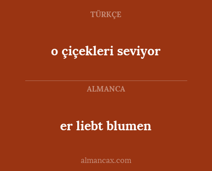 o çiçekleri seviyor - er liebt blumen