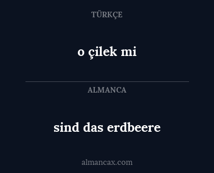 o çilek mi - sind das erdbeere