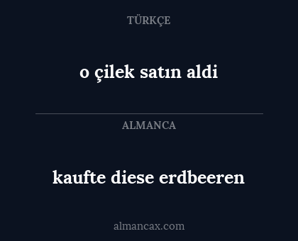 o çilek satın aldi - kaufte diese erdbeeren