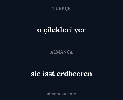 o çilekleri yer - sie isst erdbeeren
