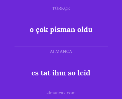 o çok pisman oldu - es tat ihm so leid