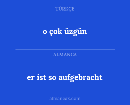 o çok üzgün - er ist so aufgebracht