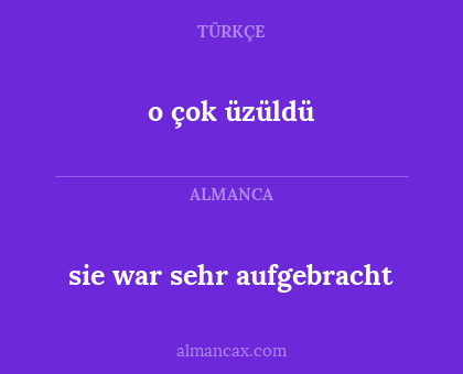 o çok üzüldü - sie war sehr aufgebracht
