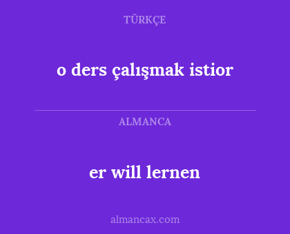 er will lernen - o ders çalışmak istior