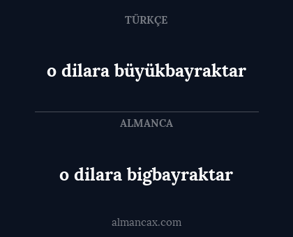 o dilara bigbayraktar - o dilara büyükbayraktar