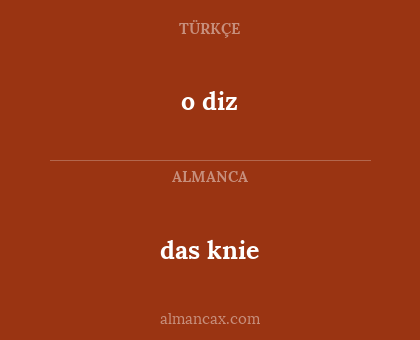 o diz - das knie