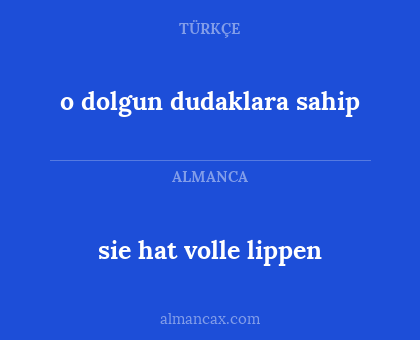 o dolgun dudaklara sahip - sie hat volle lippen