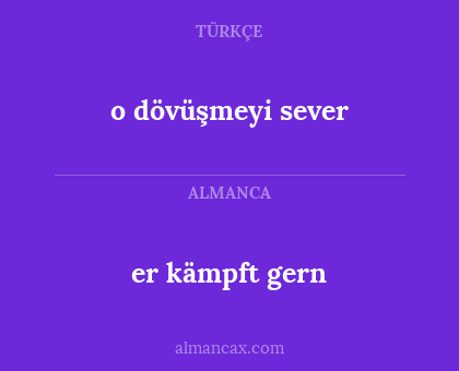 o dövüşmeyi sever - er kämpft gern