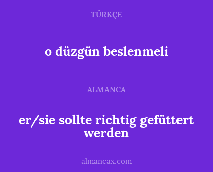 er/sie sollte richtig gefüttert werden - o düzgün beslenmeli