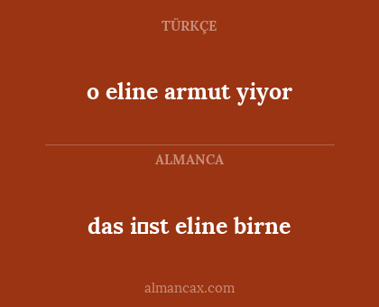 das i̇st eline birne - o eline armut yiyor