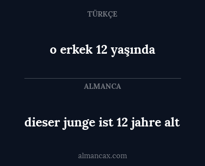 o erkek 12 yaşında - dieser junge ist 12 jahre alt