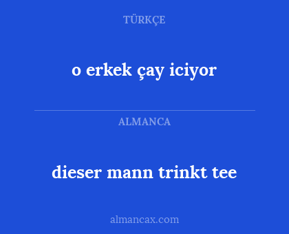 o erkek çay iciyor - dieser mann trinkt tee