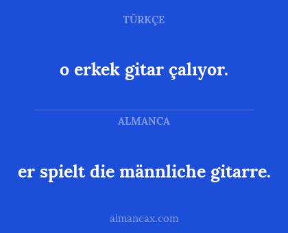 o erkek gitar çalıyor. - er spielt die männliche gitarre.